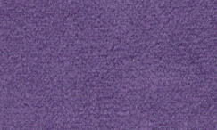 VL83 Violet