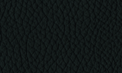 JP11 Nera