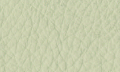 JP34 Cipra