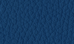 JP39 Blu