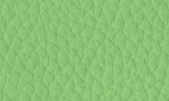 JP43 Verde chiaro