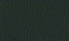 JP46 Antracite