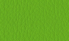 EB22 Oliva
