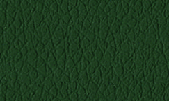 EB24 Verde bosco