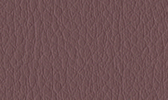 EB44 Cannella